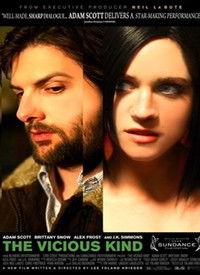 恶毒一族,揭秘黑暗势力背后的阴谋与斗争